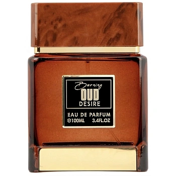 Flavia Burning Oud Desire парфюмерная вода, 100 мл Flavia Burning Oud Desire парфюмерная вода, 100 мл