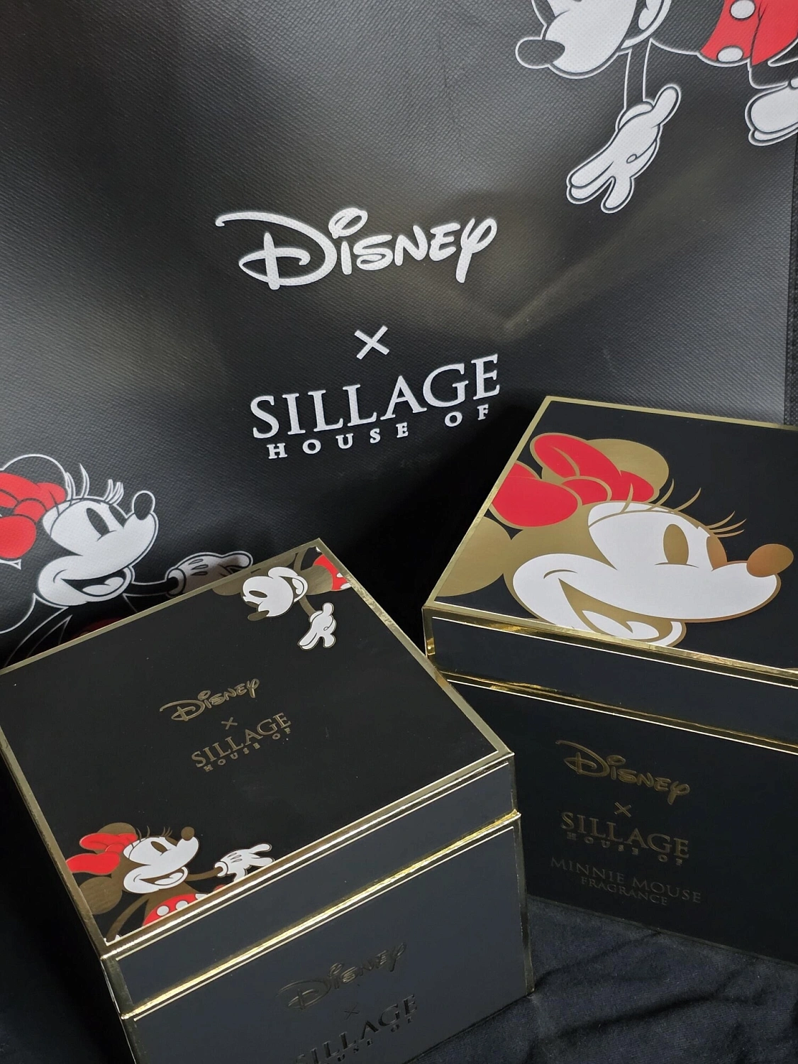 House of Sillage Mickey Mouse