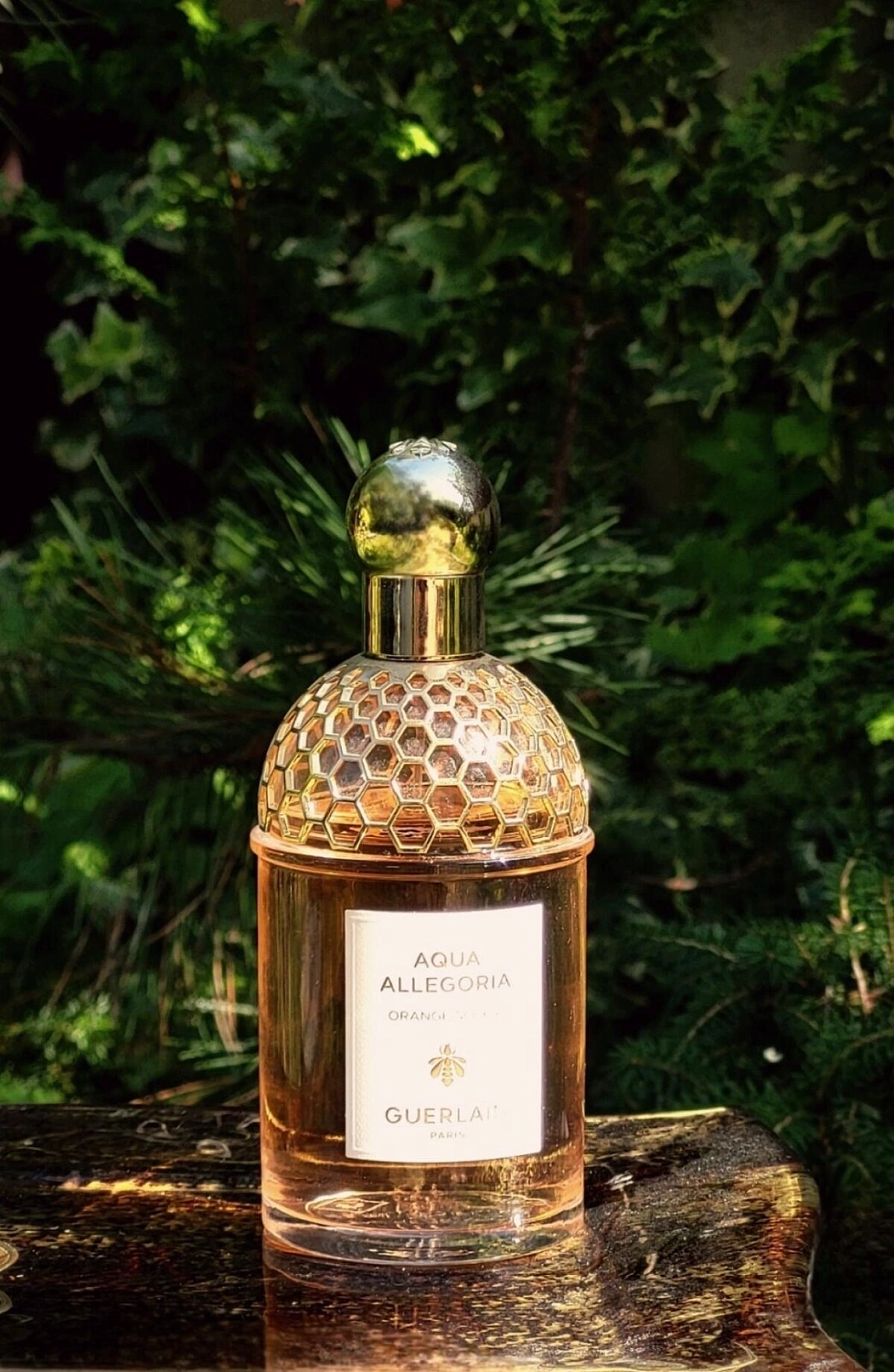 Guerlain Aqua Allegoria Orange Soleia