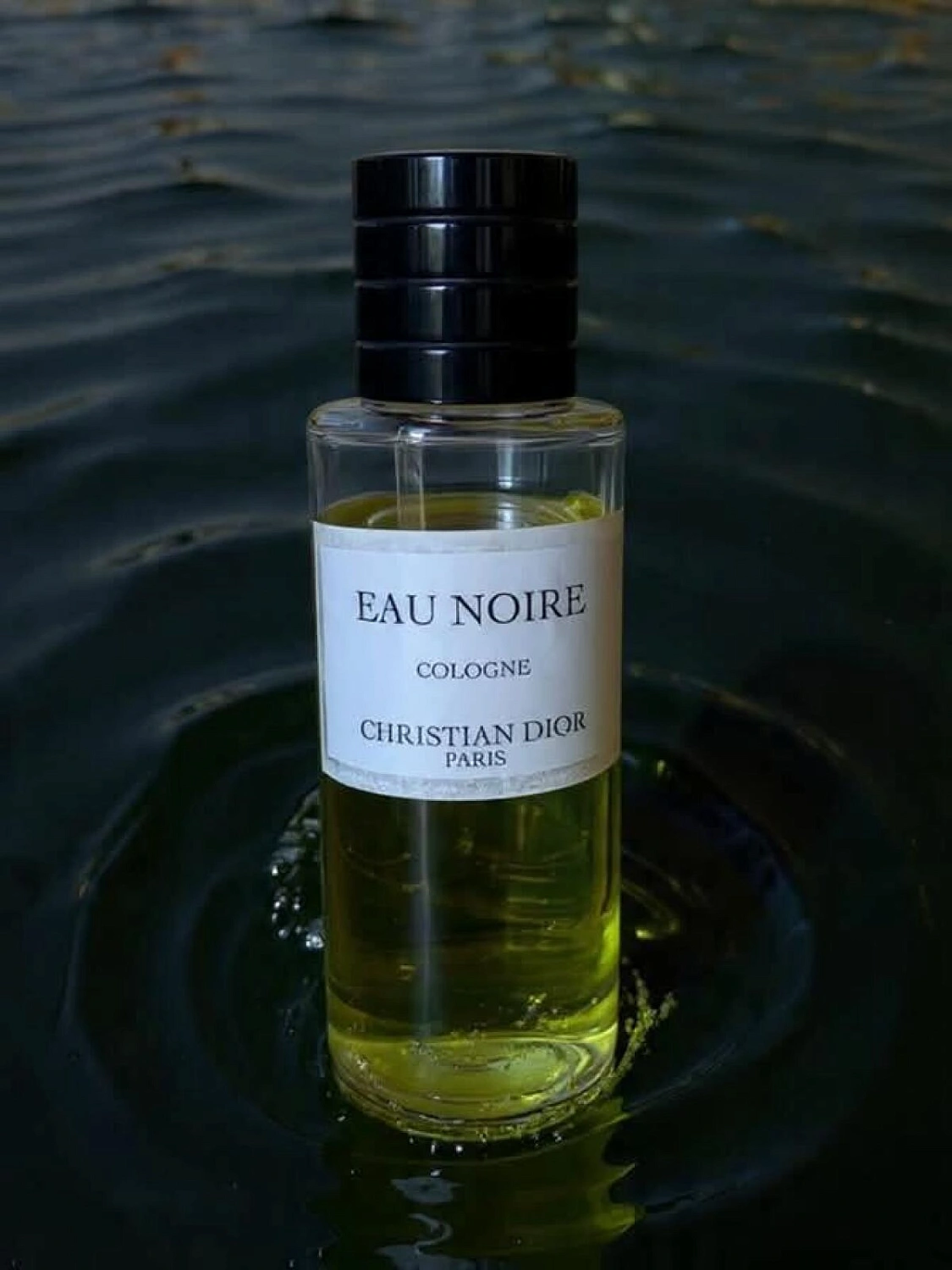 Christian Dior Eau Noire