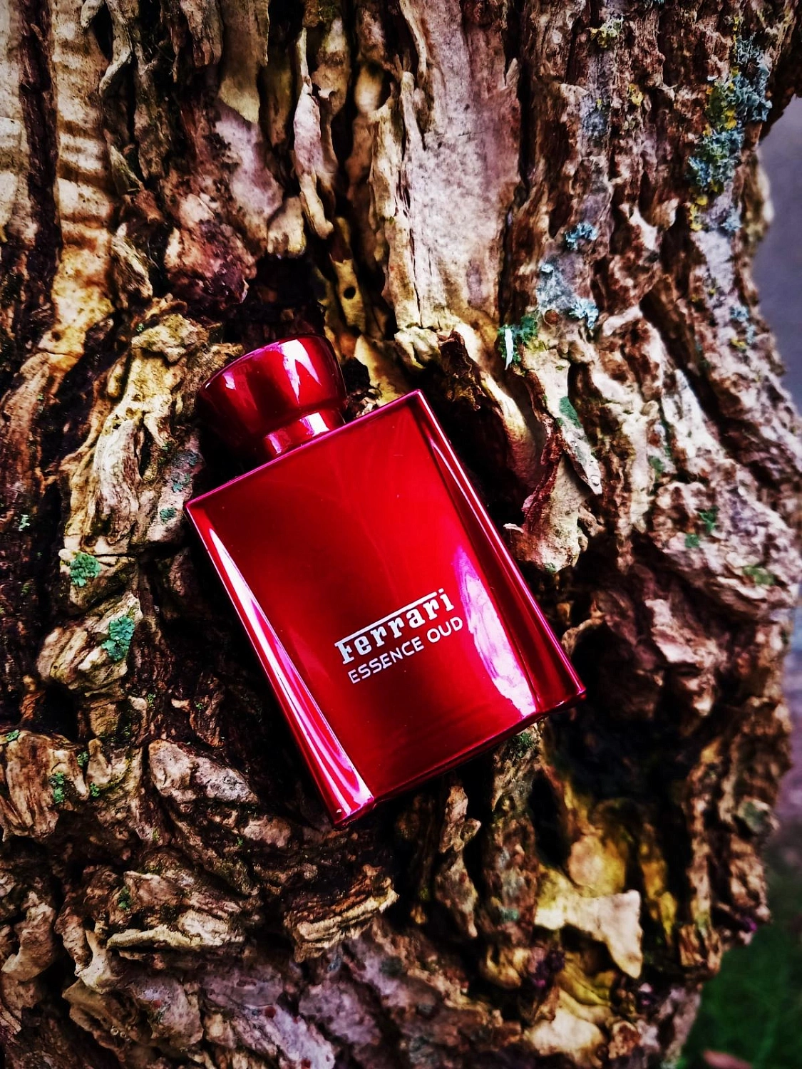 Ferrari Essence Oud