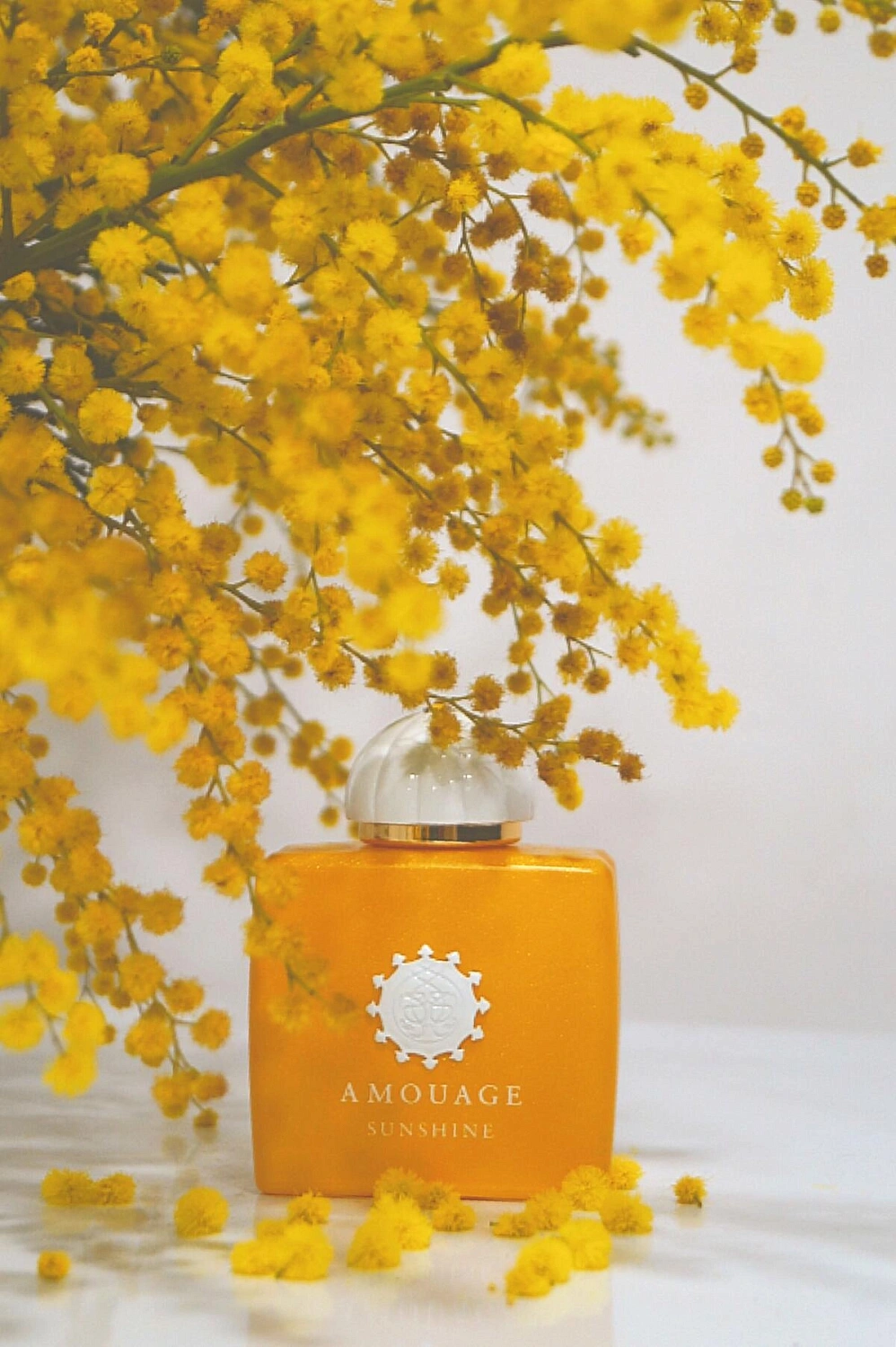 Amouage Sunshine