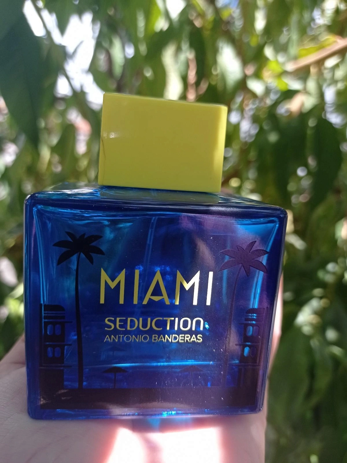 Antonio Banderas Miami Seduction Blue For Men