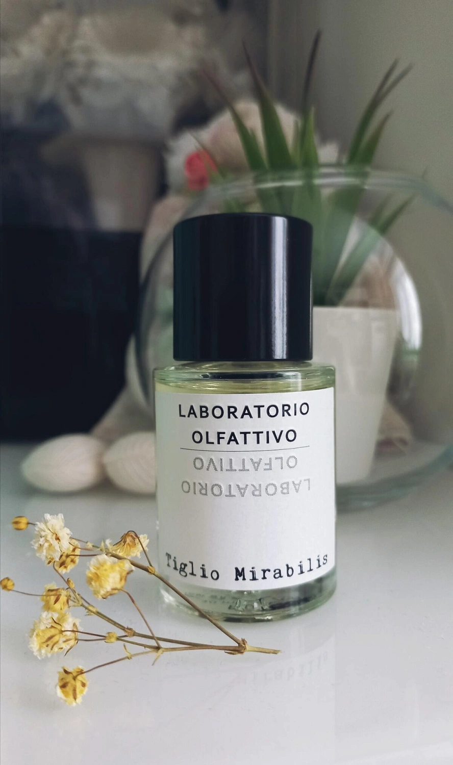 Laboratorio Olfattivo Tiglio Mirabilis