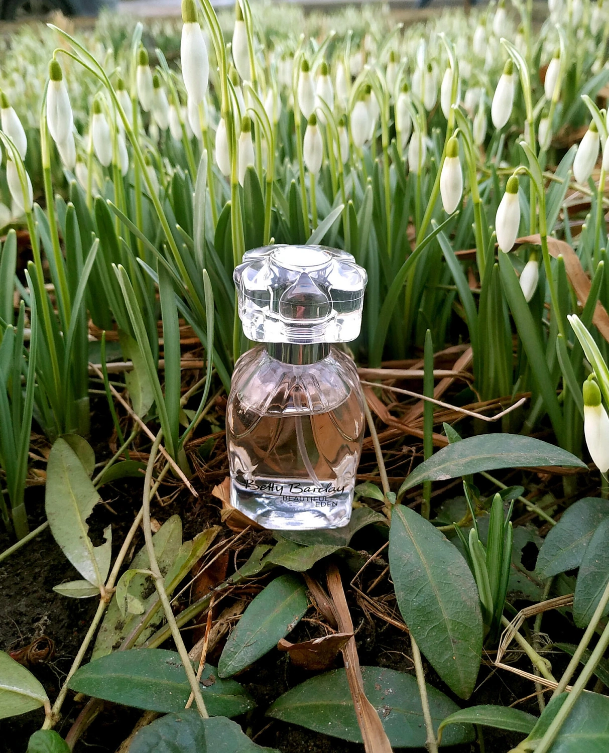 Betty Barclay Beautiful Eden Eau de Toilette