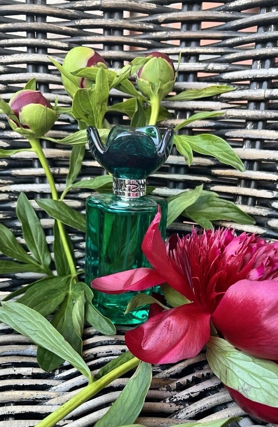 Oscar de la Renta Oscar Jasmine