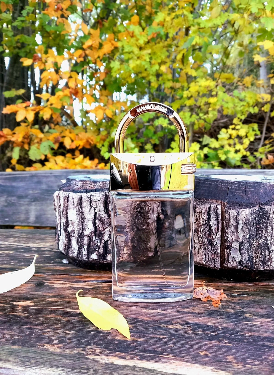 Mauboussin Promise Me