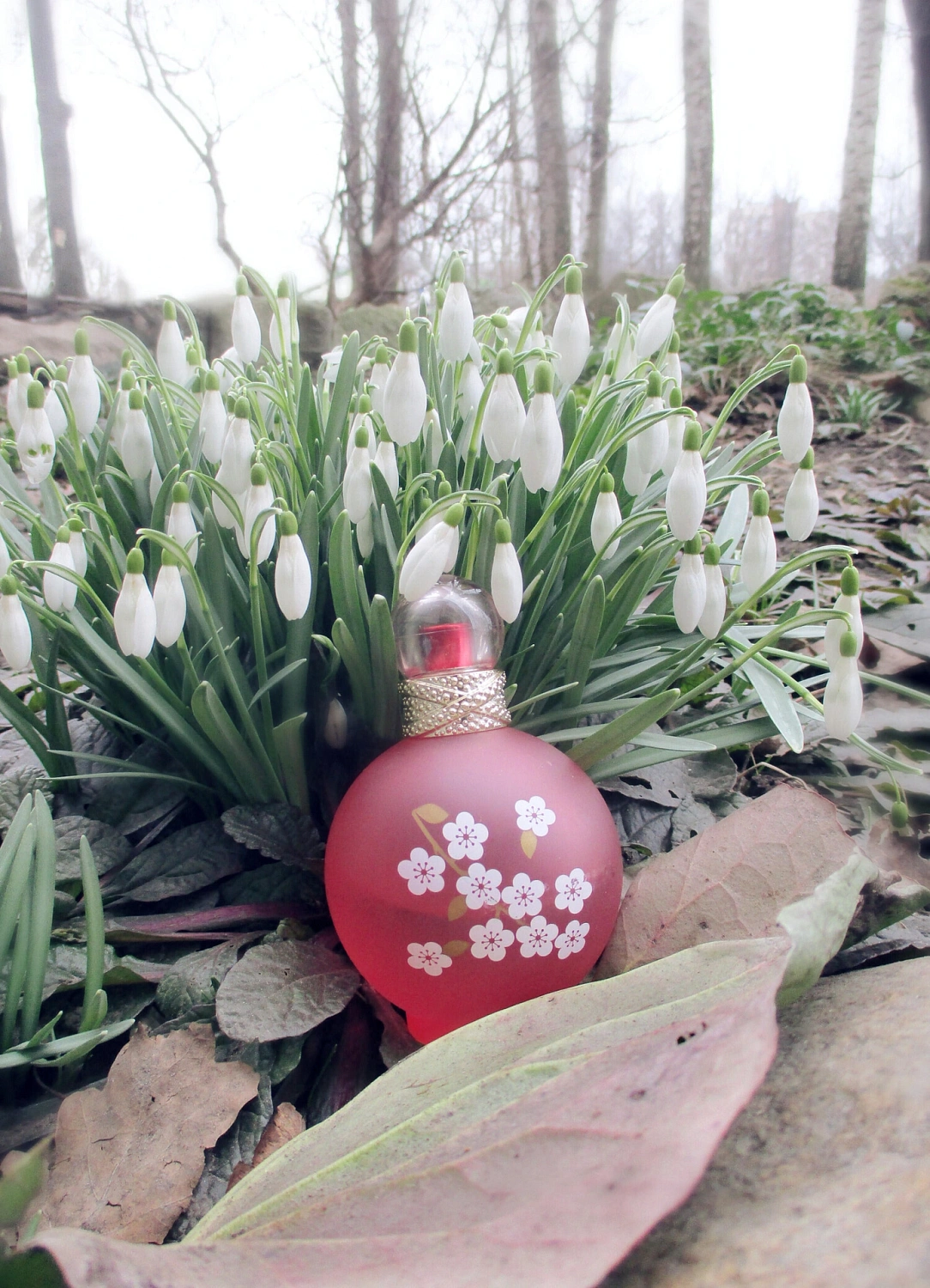 Britney Spears Fantasy In Bloom