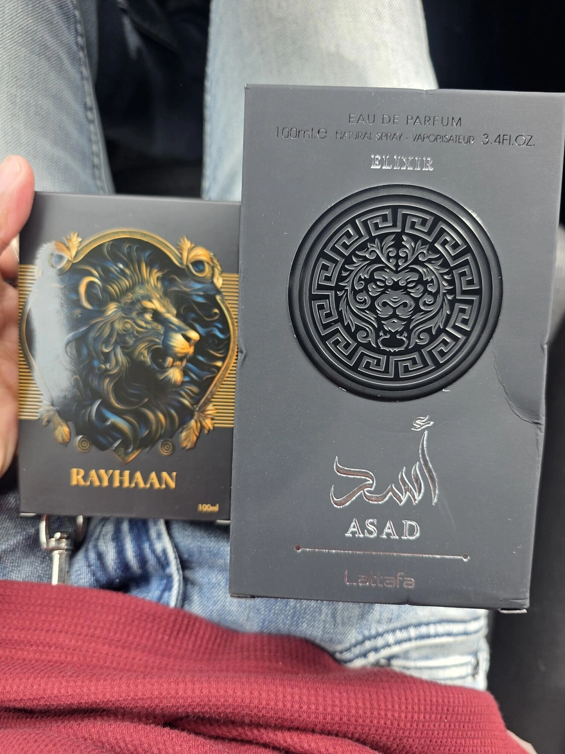 Rayhaan Lion