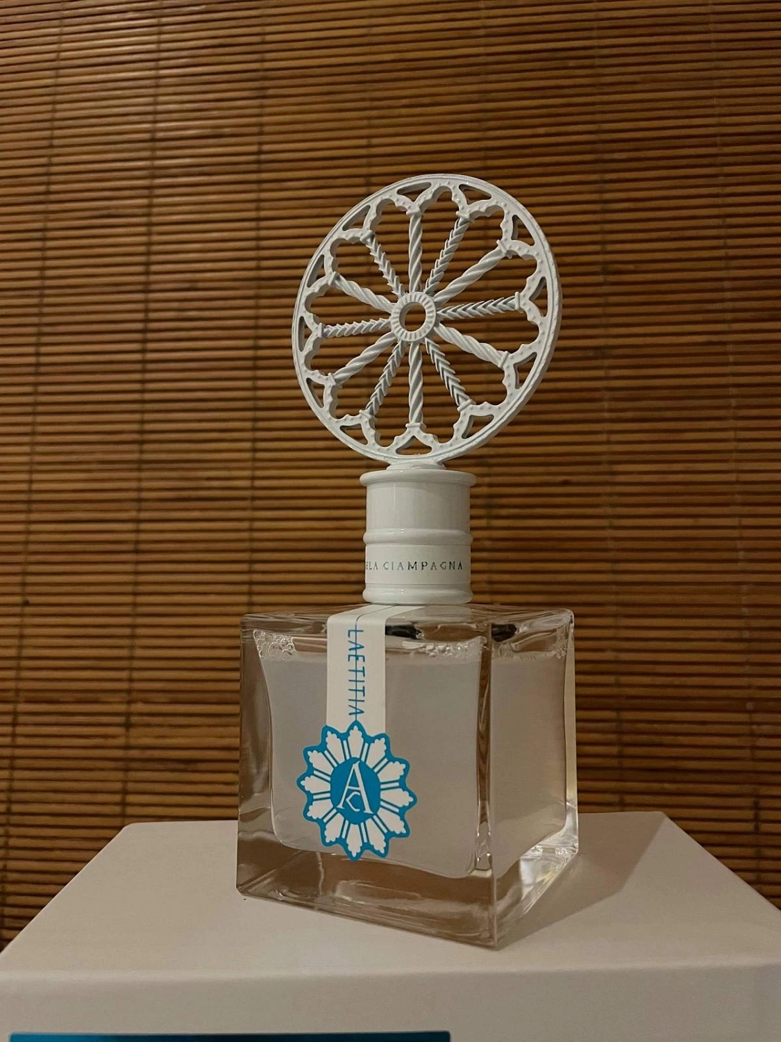 Angela Ciampagna Laetitia