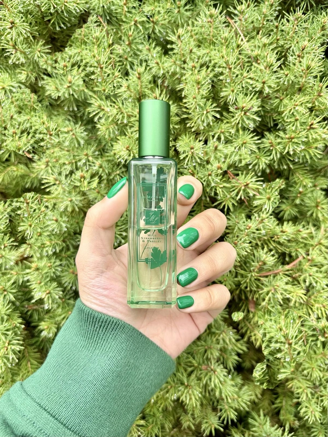 Jo Malone Wild Strawberry & Parsley Jo Malone Wild Strawberry & Parsley