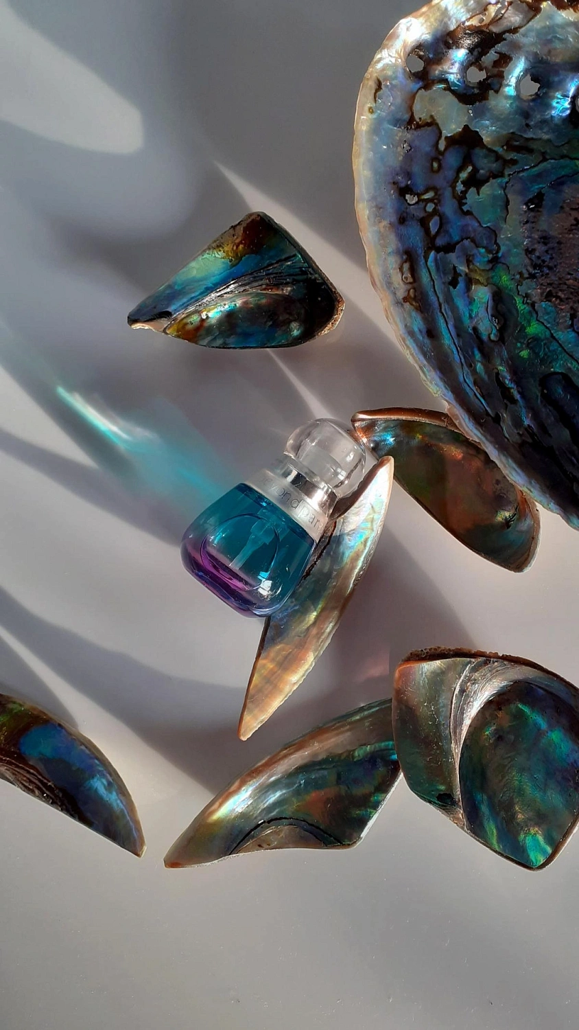 Estée Lauder Beyond Paradise