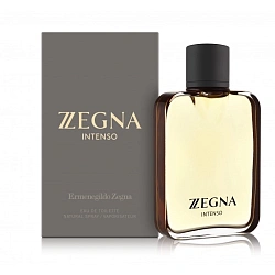 Ermenegildo Zegna Z Zegna Intenso