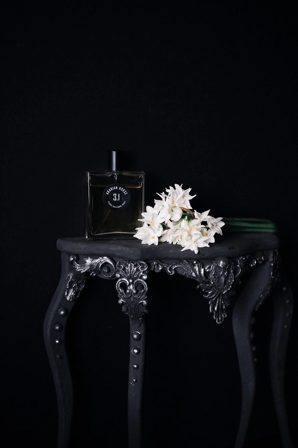 Pierre Guillaume Arabian Horse 3.1