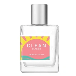 Clean Tropical Escape