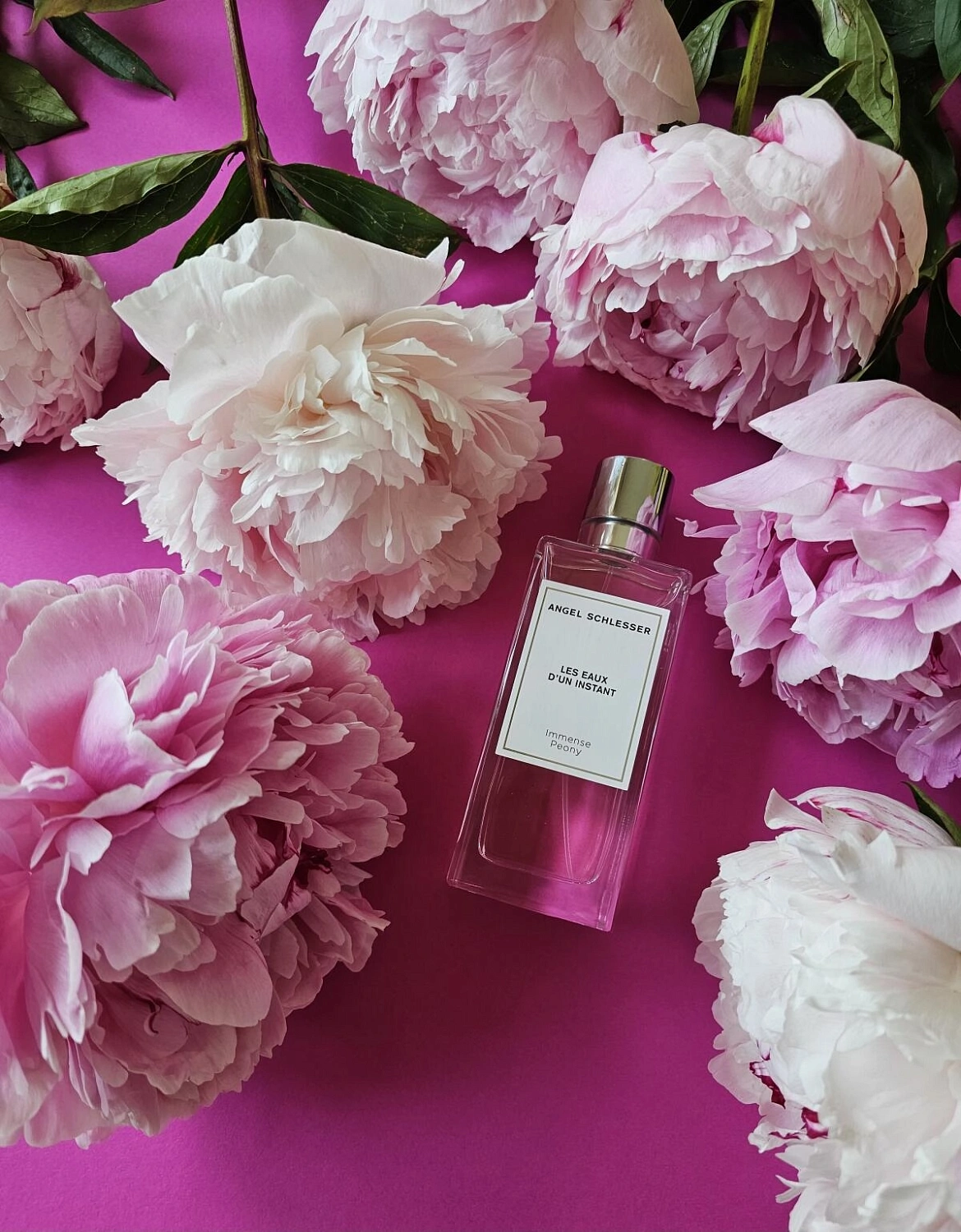 Angel Schlesser Immense Peony