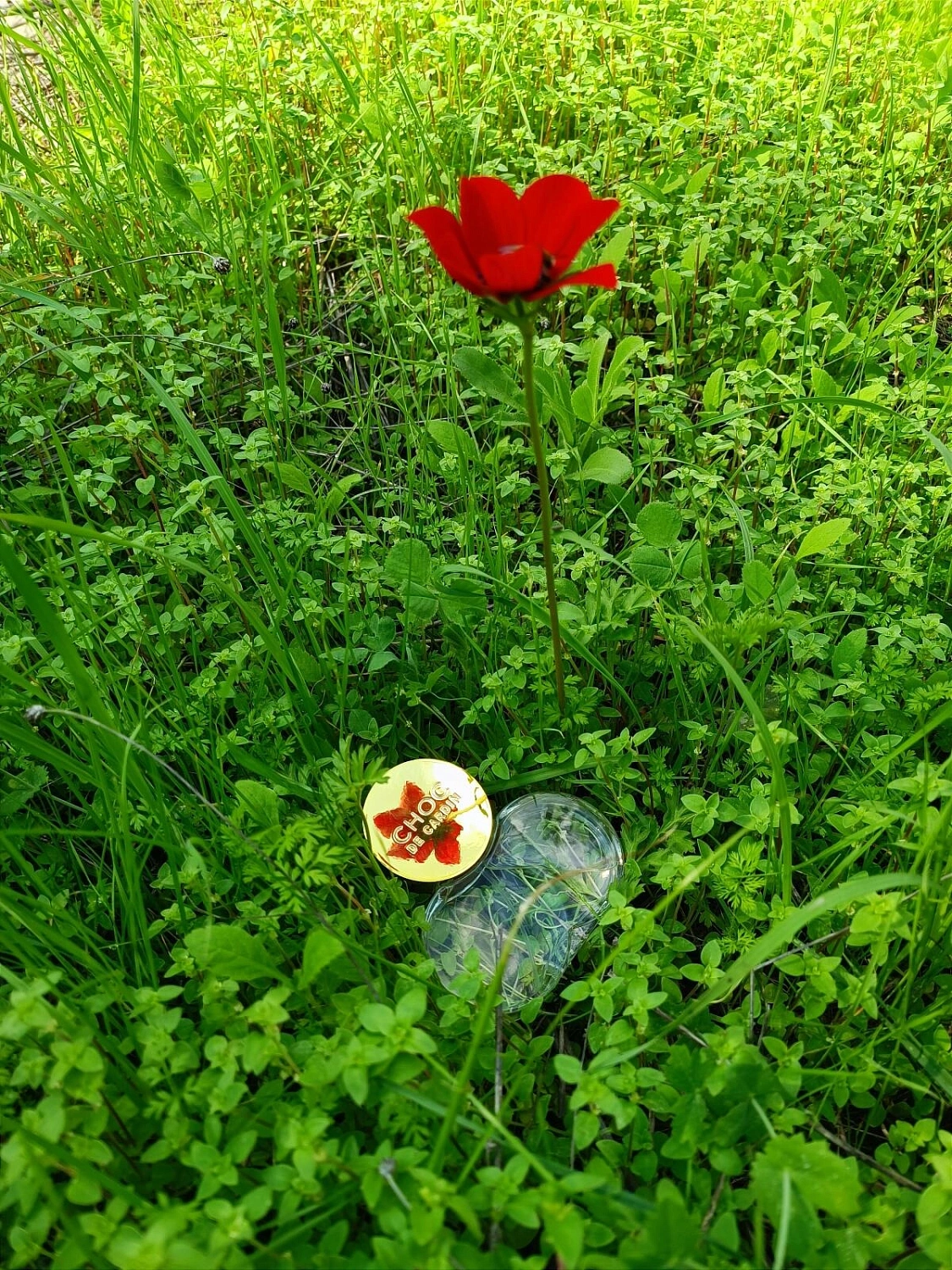 Pierre Cardin Choc de Cardin