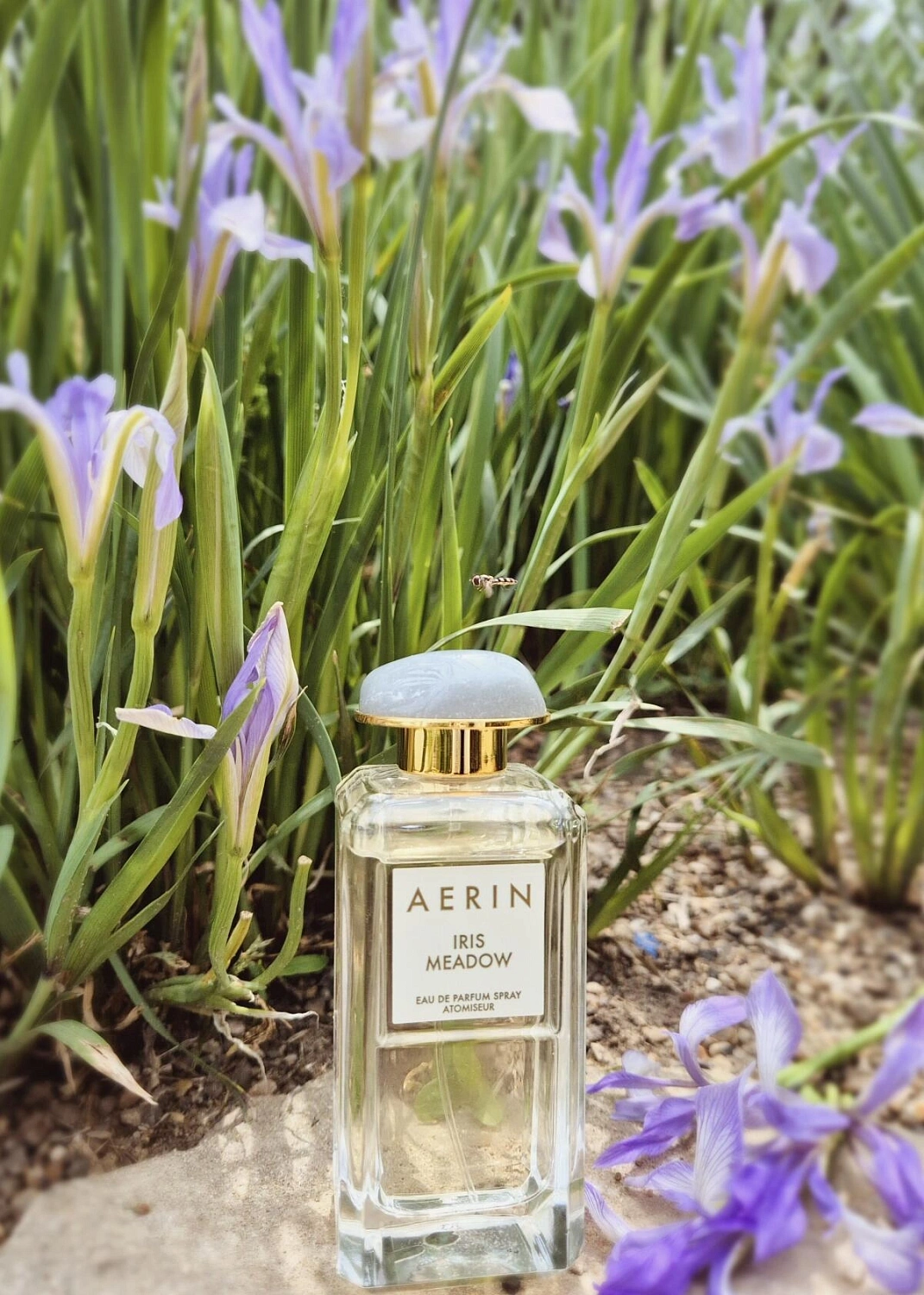 AERIN Iris Meadow