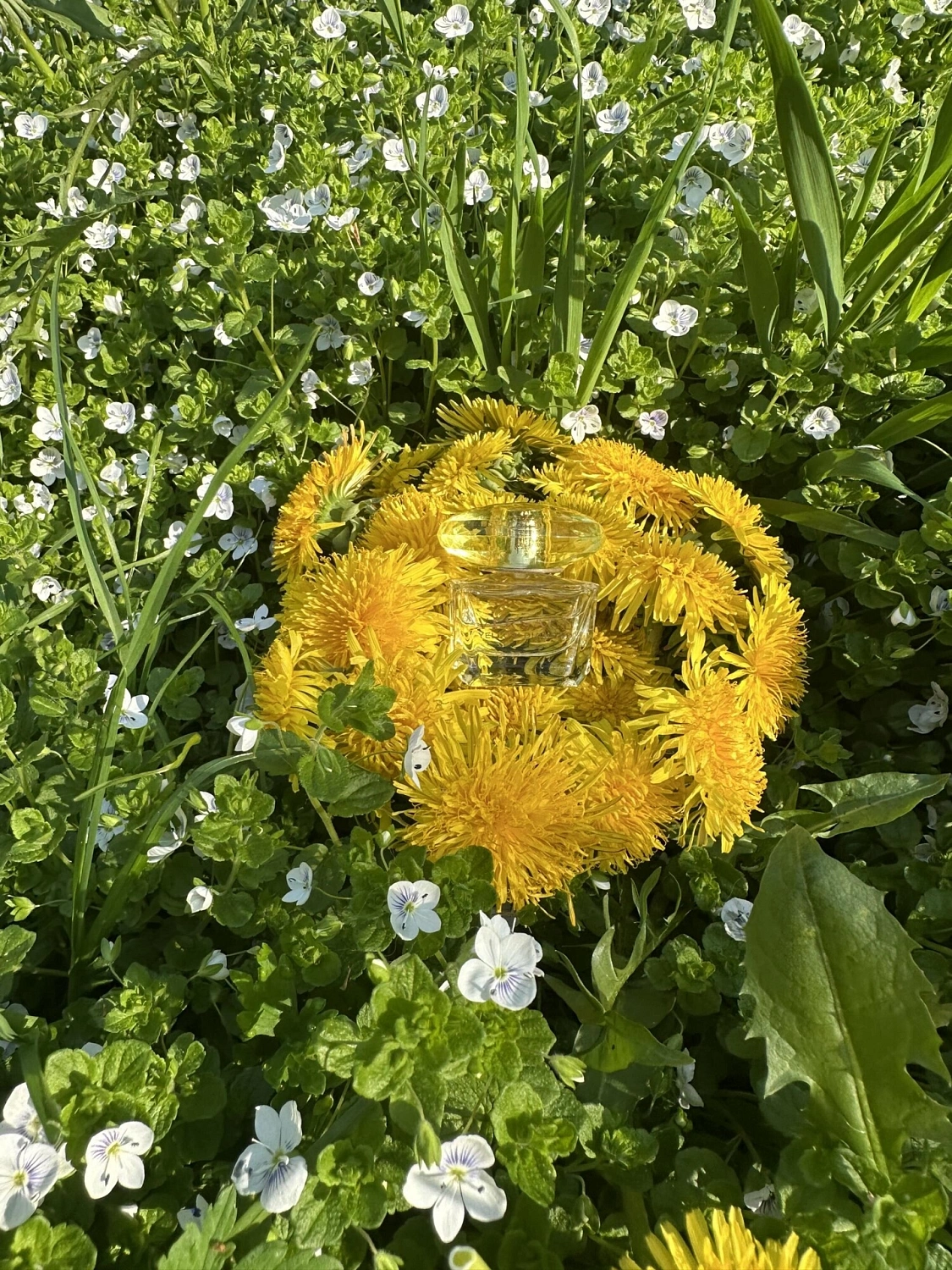 Versace Yellow Diamond