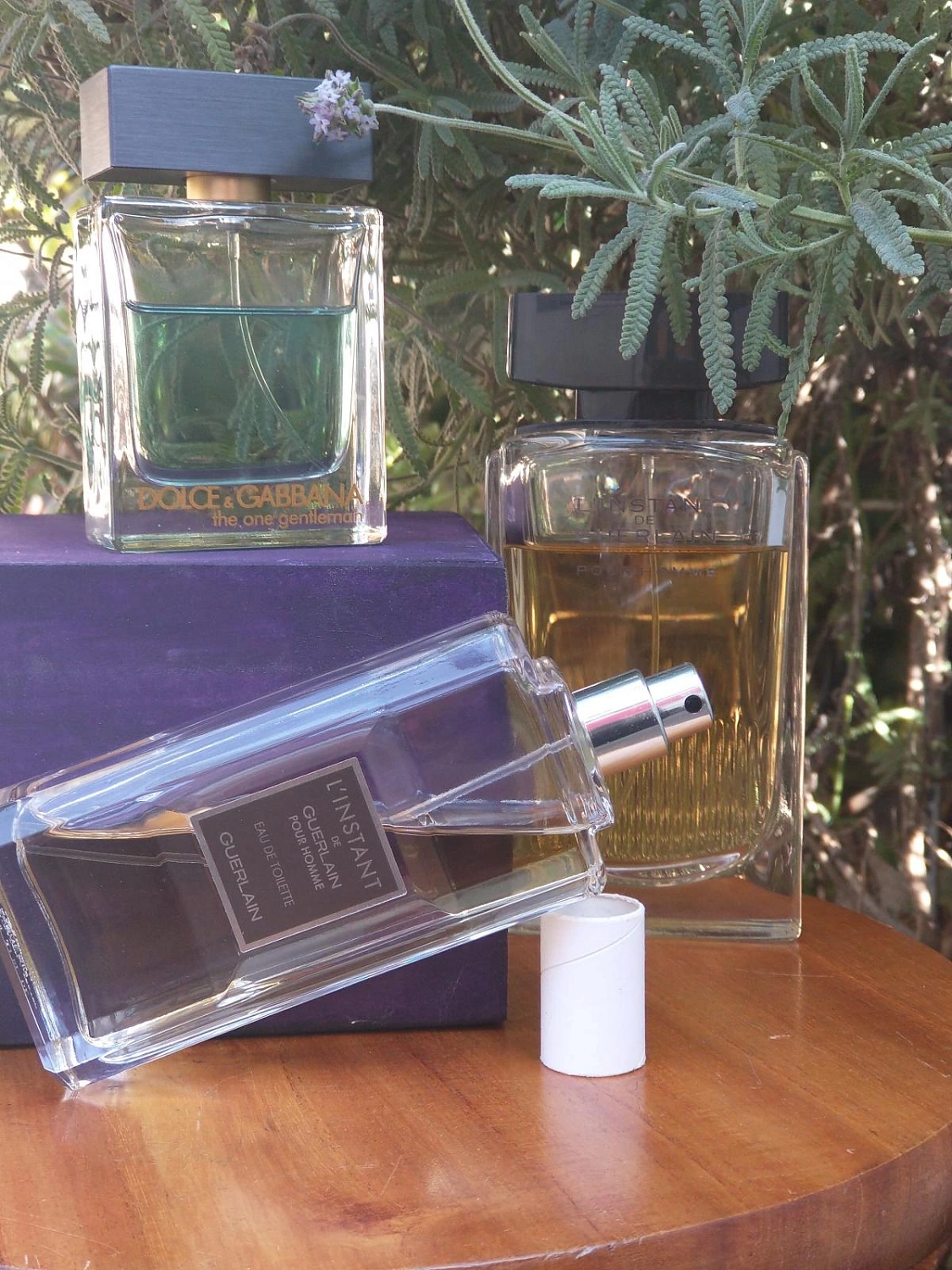 DOLCE & GABBANA The One Gentleman