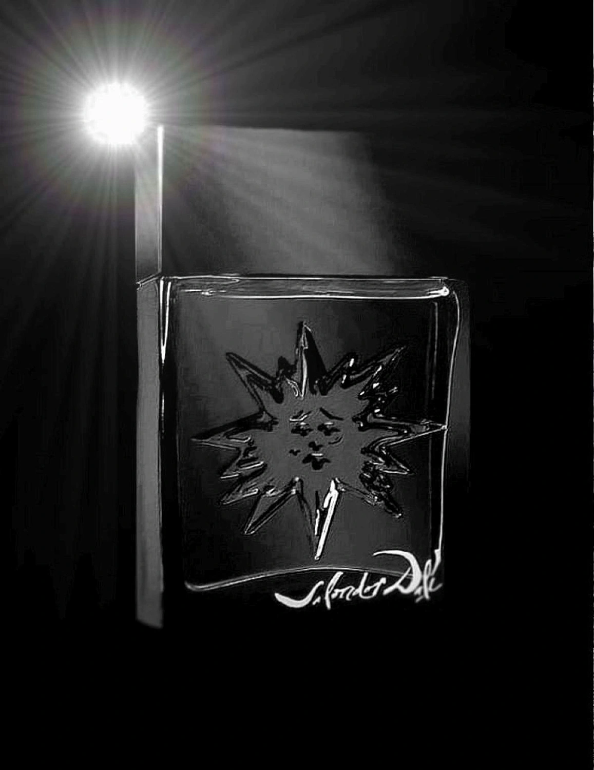 Salvador Dali Black Sun