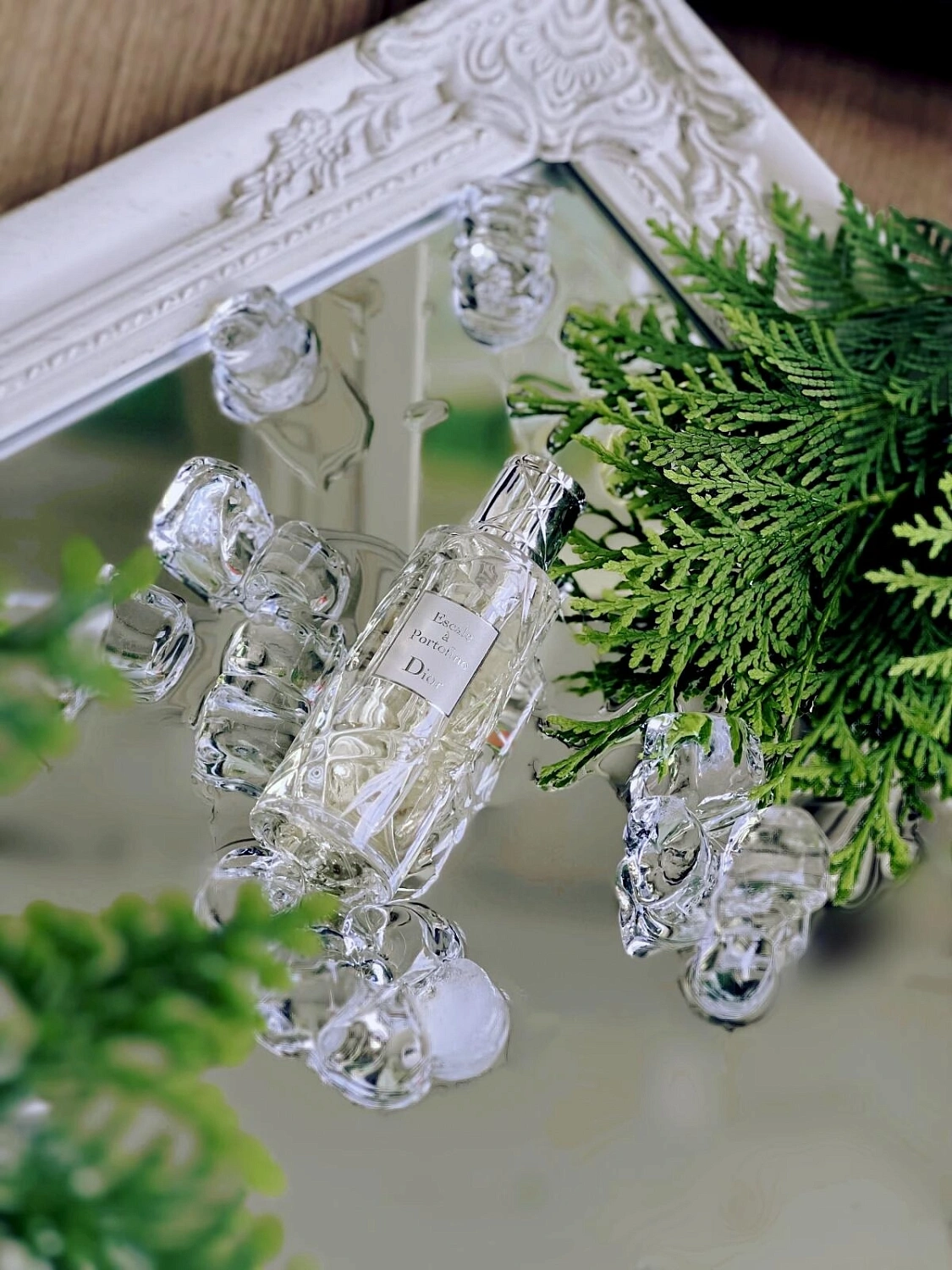 Christian Dior Escale a Portofino