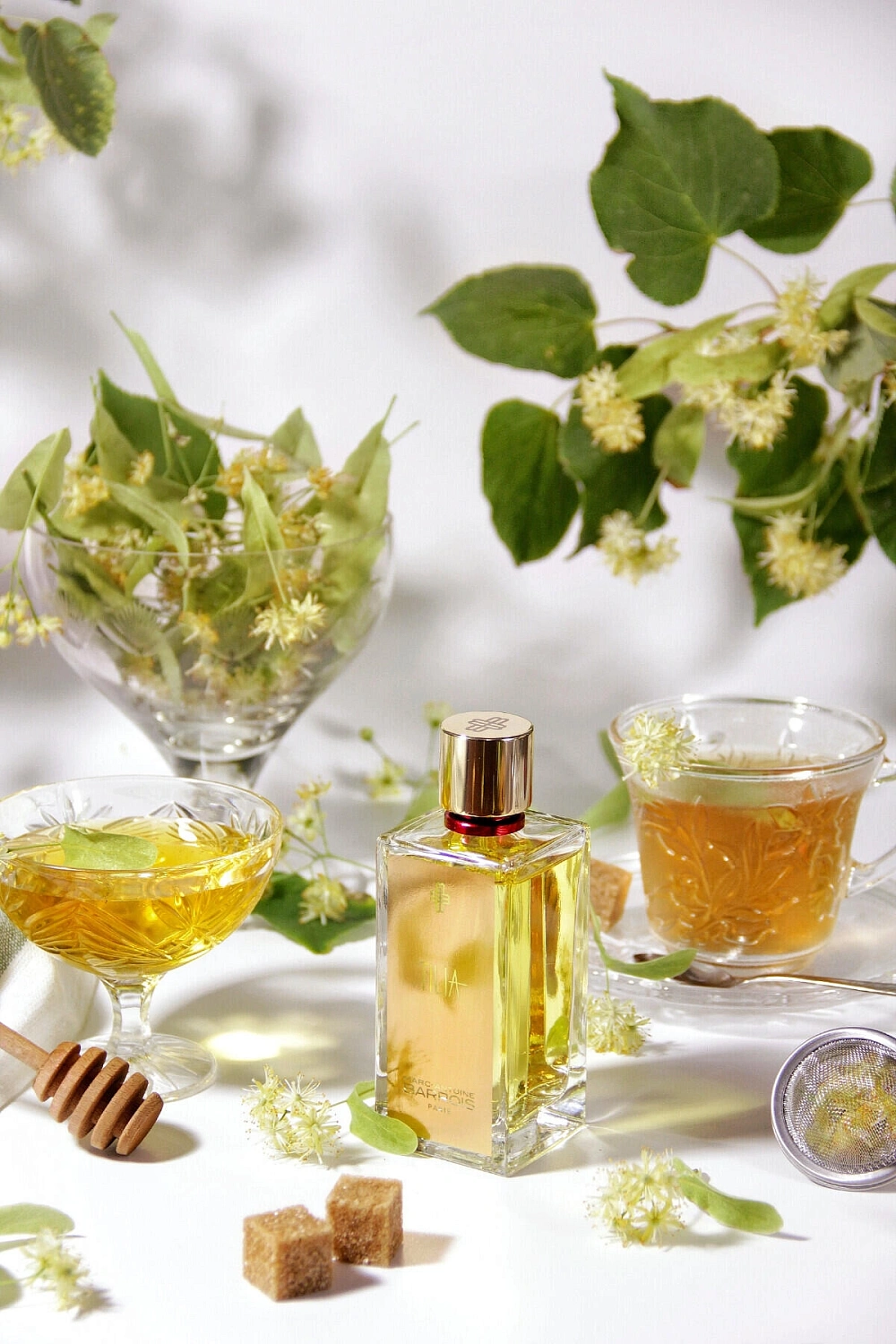 Marc-Antoine Barrois Tilia