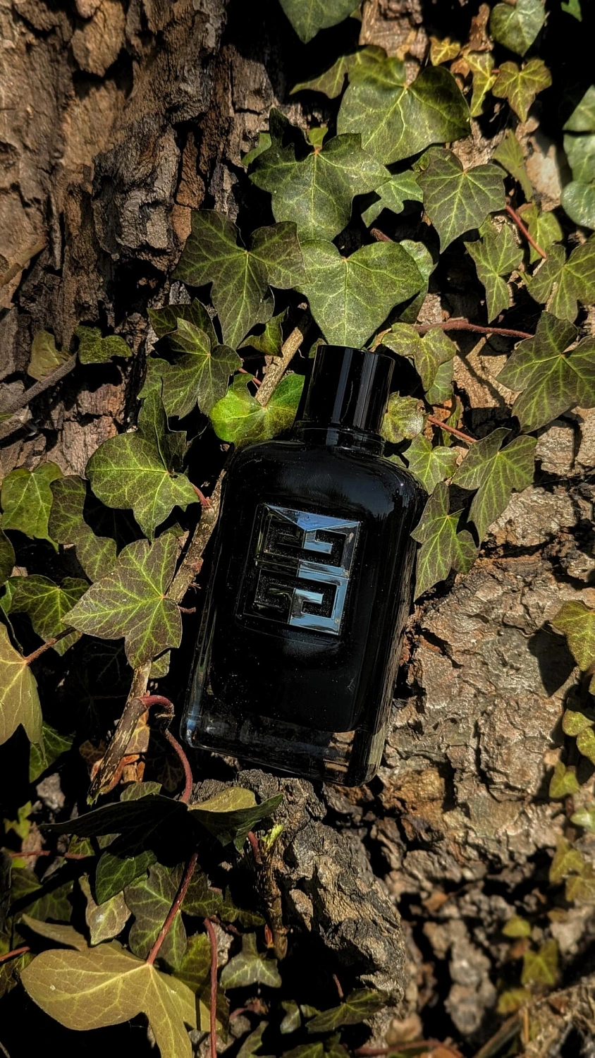 GIVENCHY Gentleman Society GIVENCHY Gentleman Society