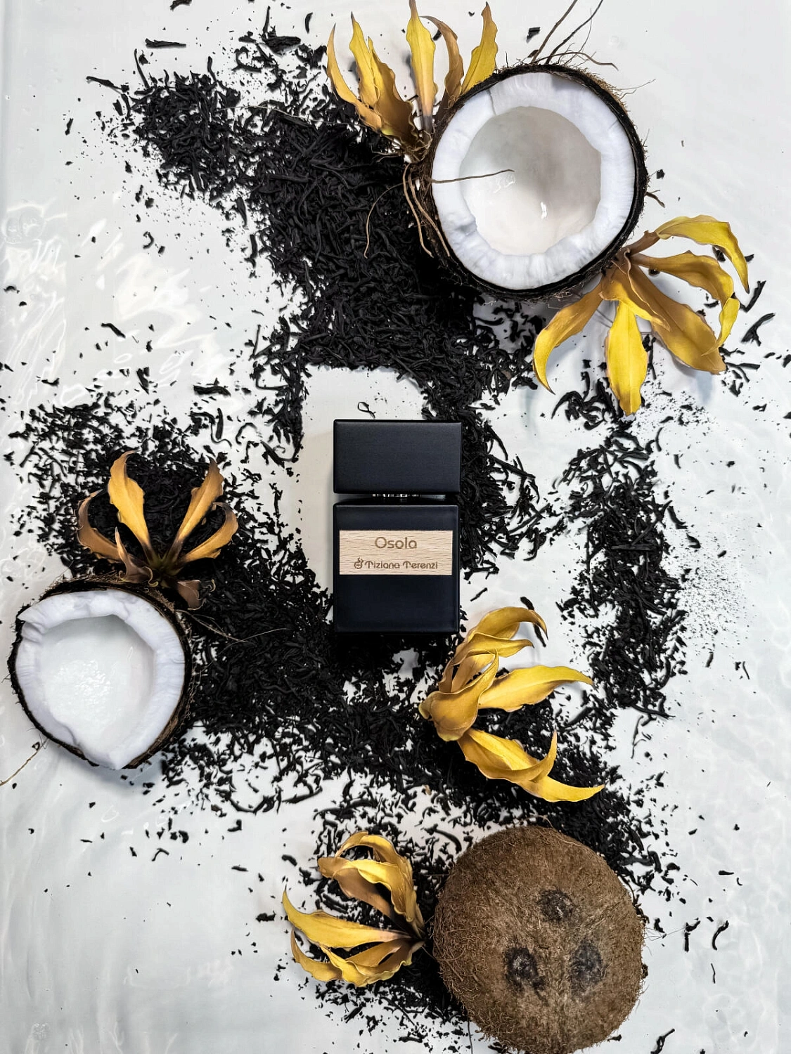 Tiziana Terenzi Osola