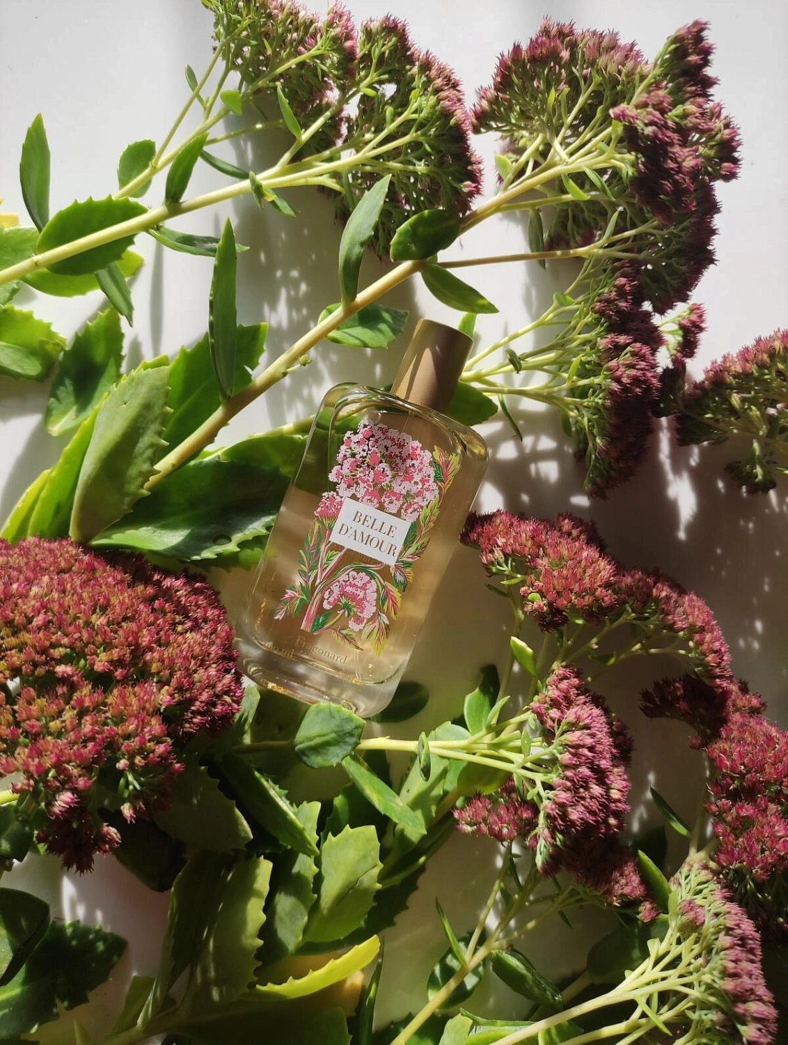 Fragonard Belle d'Amour