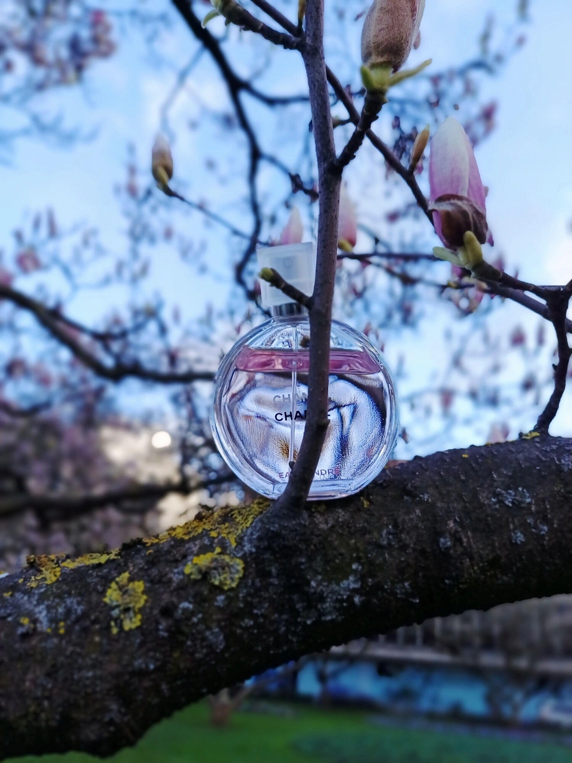 Chanel Chance Eau Tendre