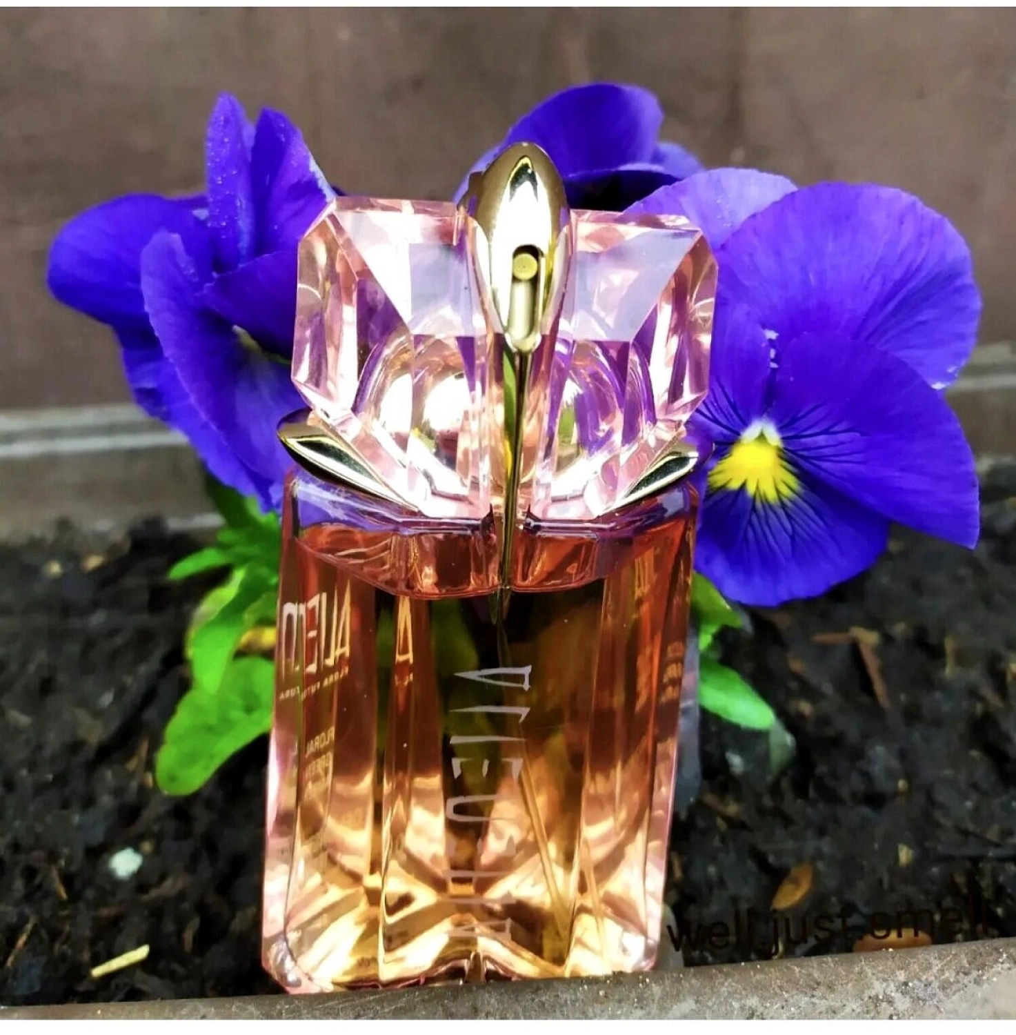 Mugler Alien Flora Futura