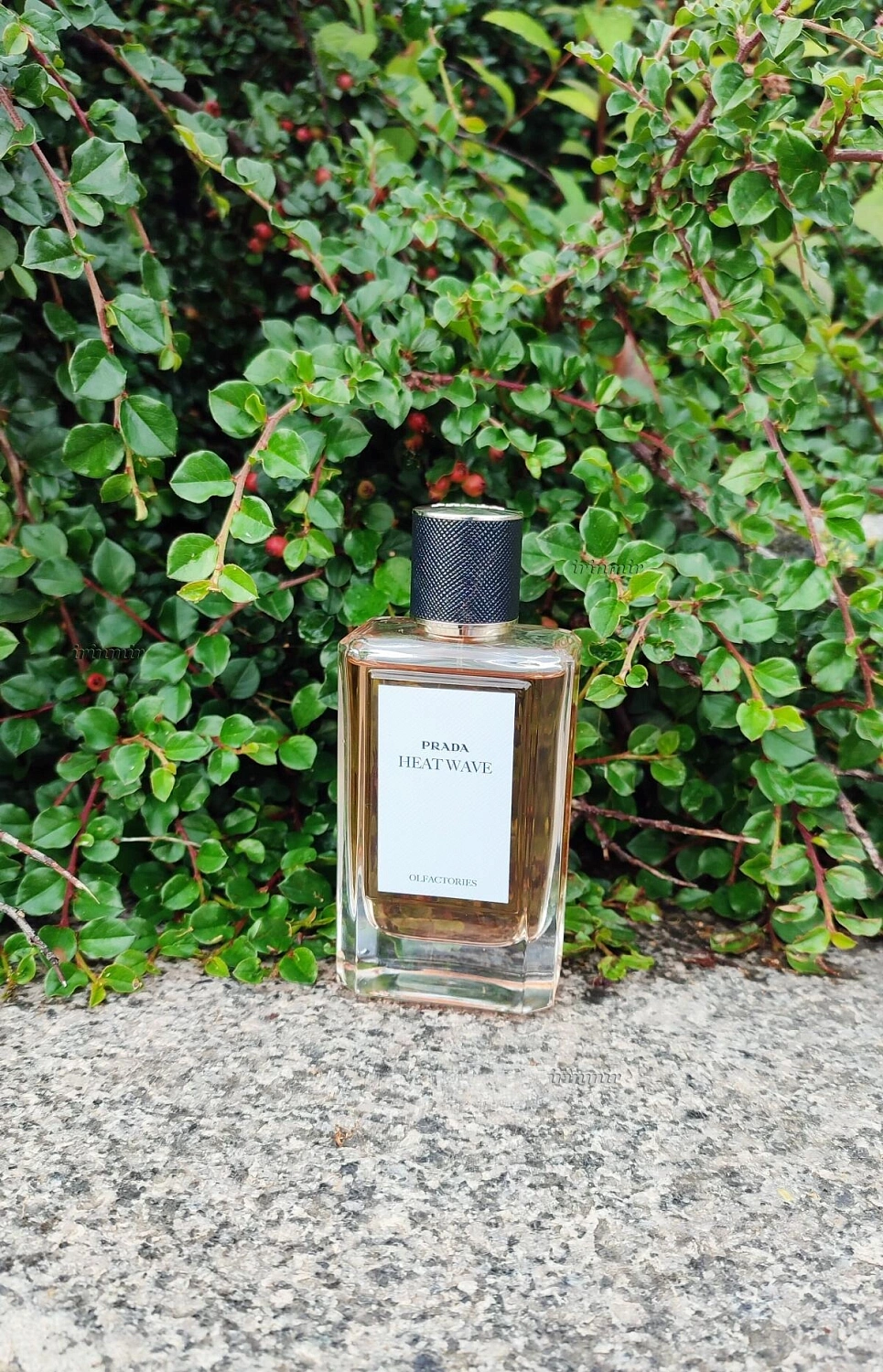 Prada Heat Wave Prada Heat Wave