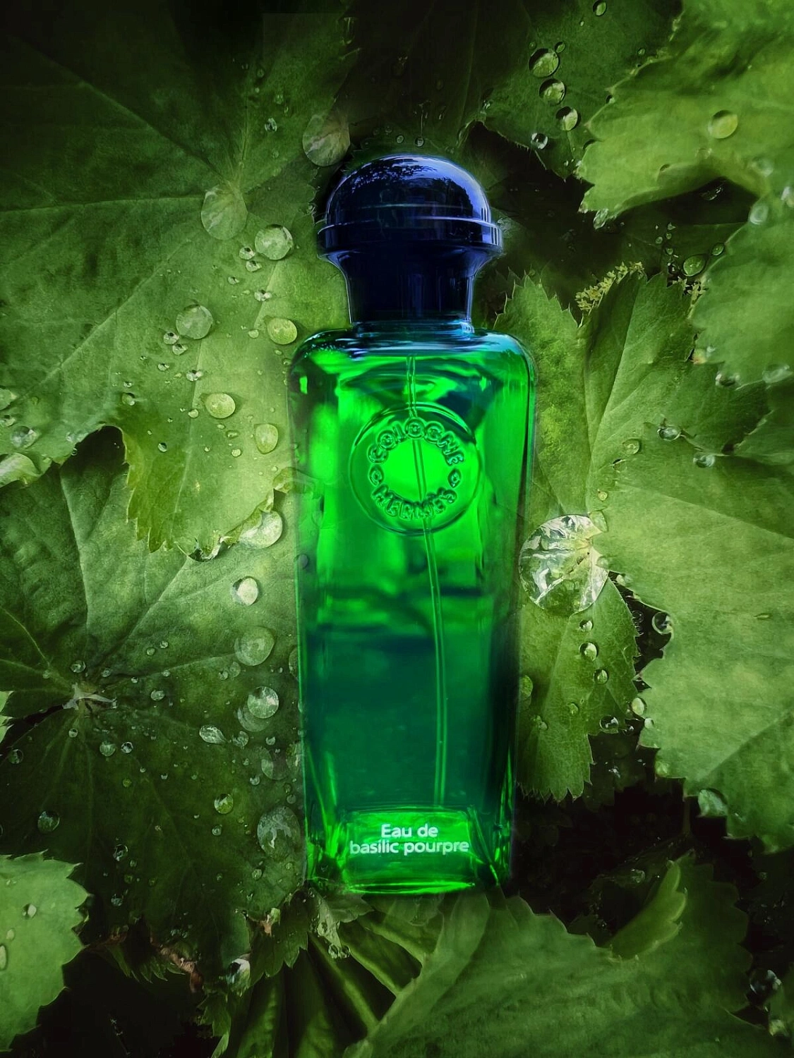 Hermes Eau de Basilic Pourpre