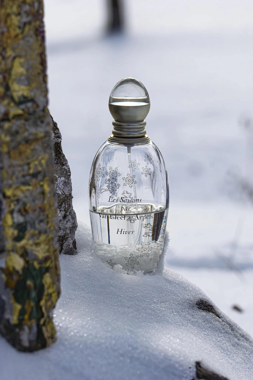 Van Cleef & Arpels Les Saisons L'Hiver