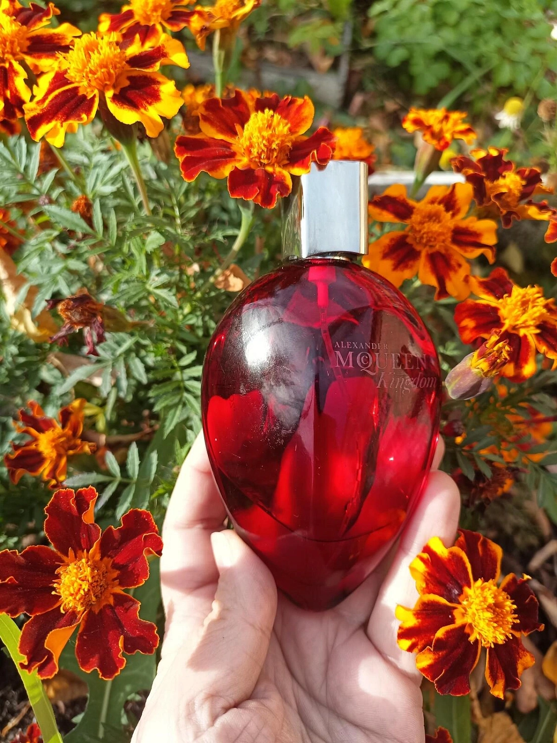 Alexander McQueen Kingdom