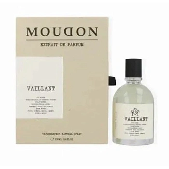 Фото Moudon Vaillant