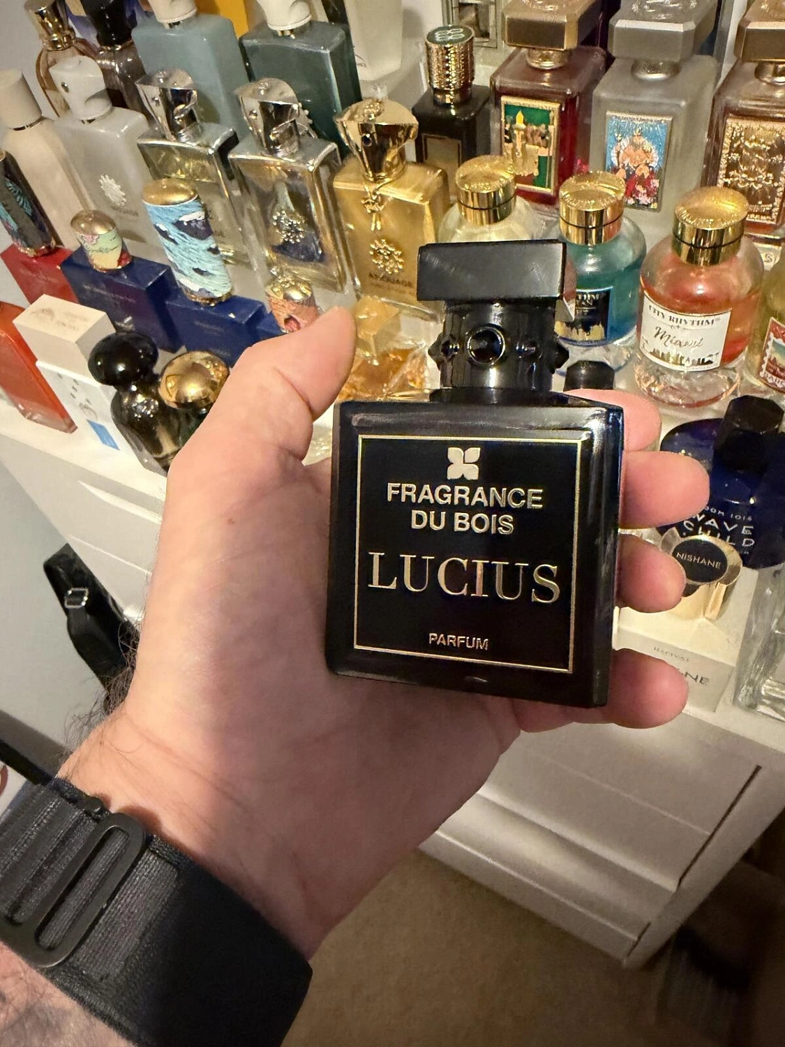 Fragrance du Bois Lucius