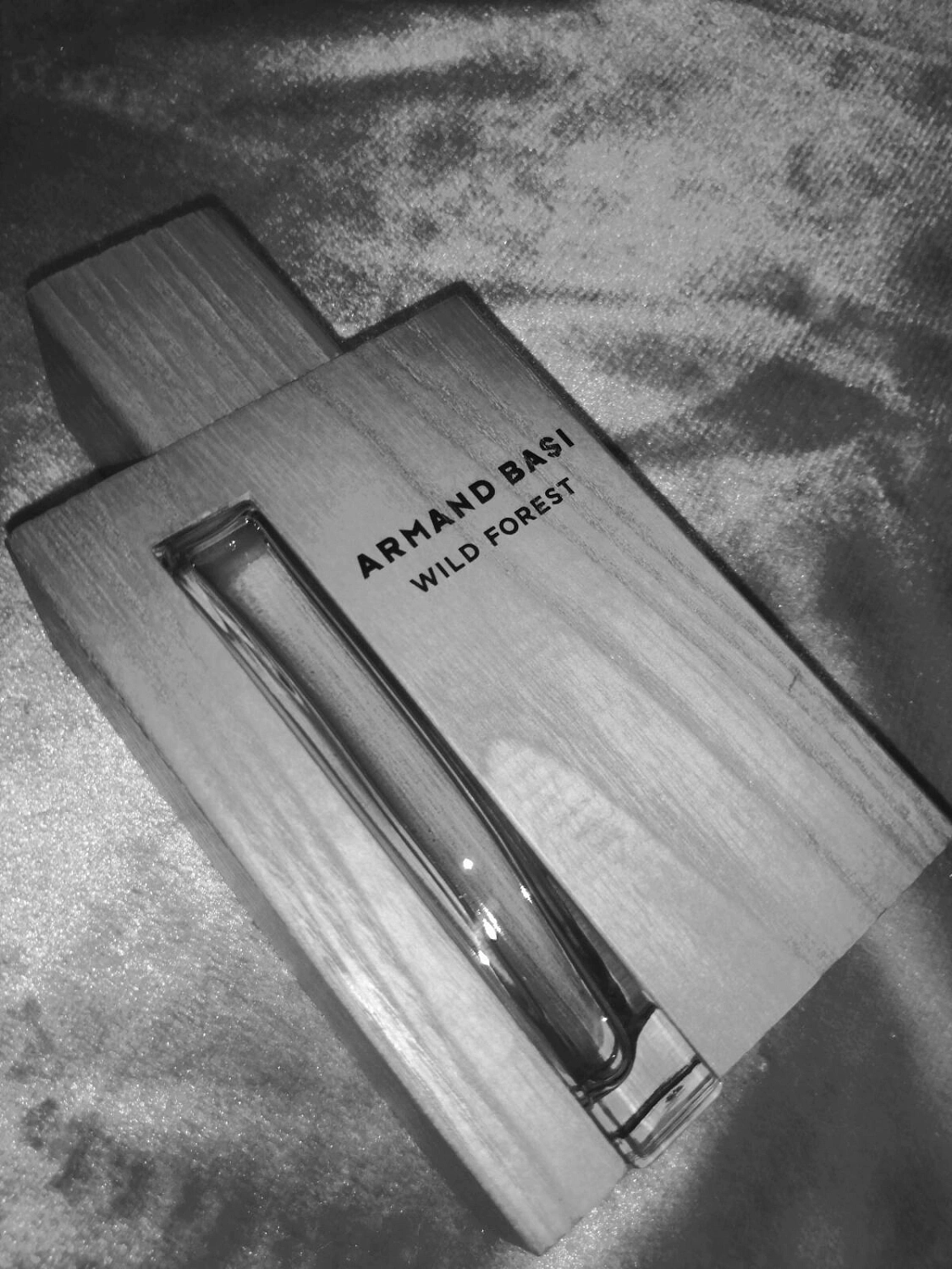 Armand Basi Wild Forest