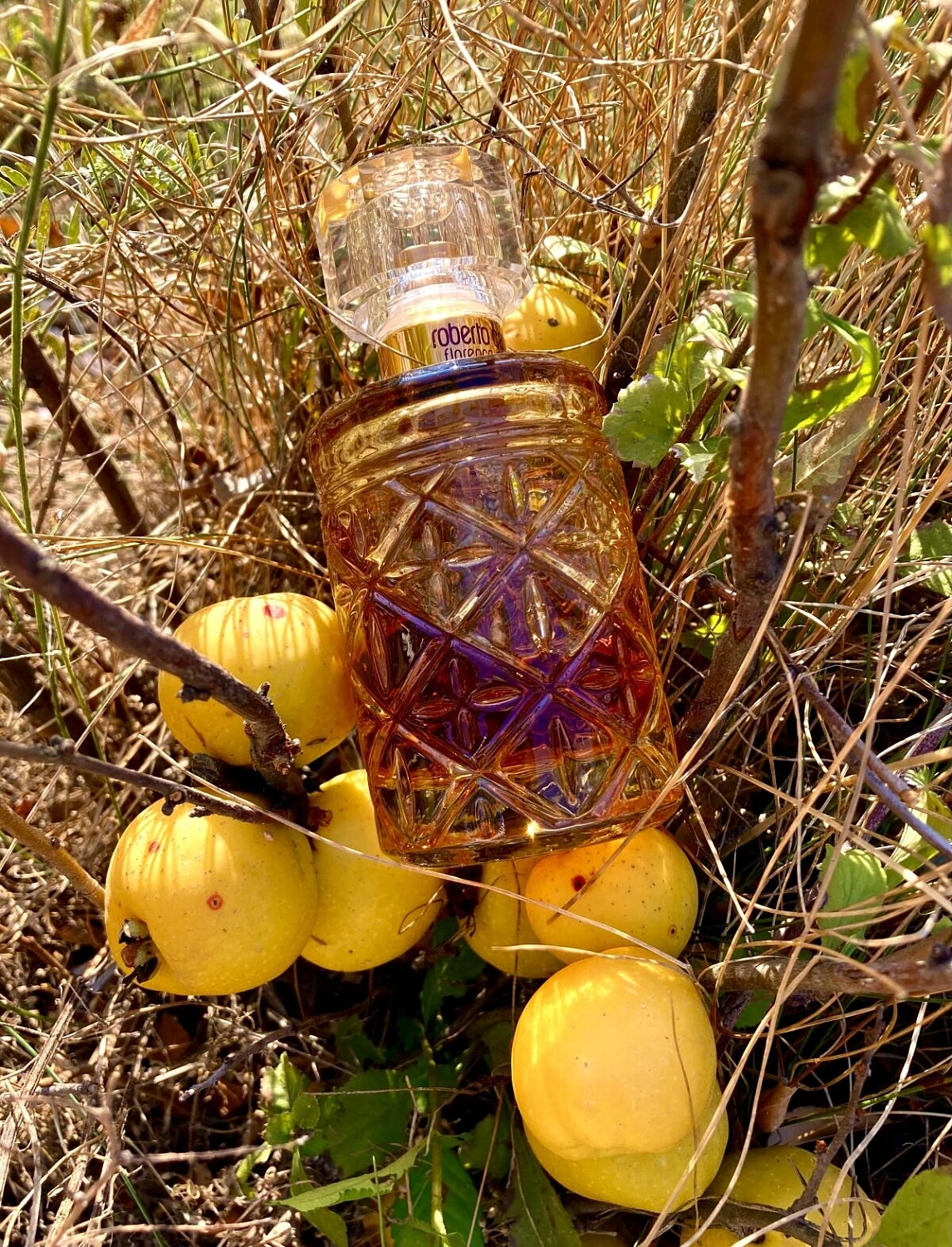 Roberto Cavalli Florence Amber