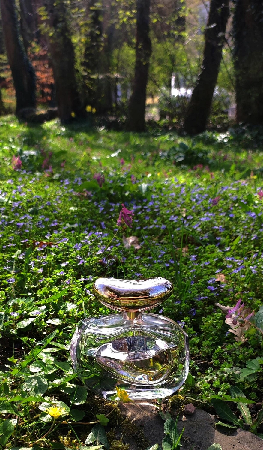 Vince Camuto Illuminare