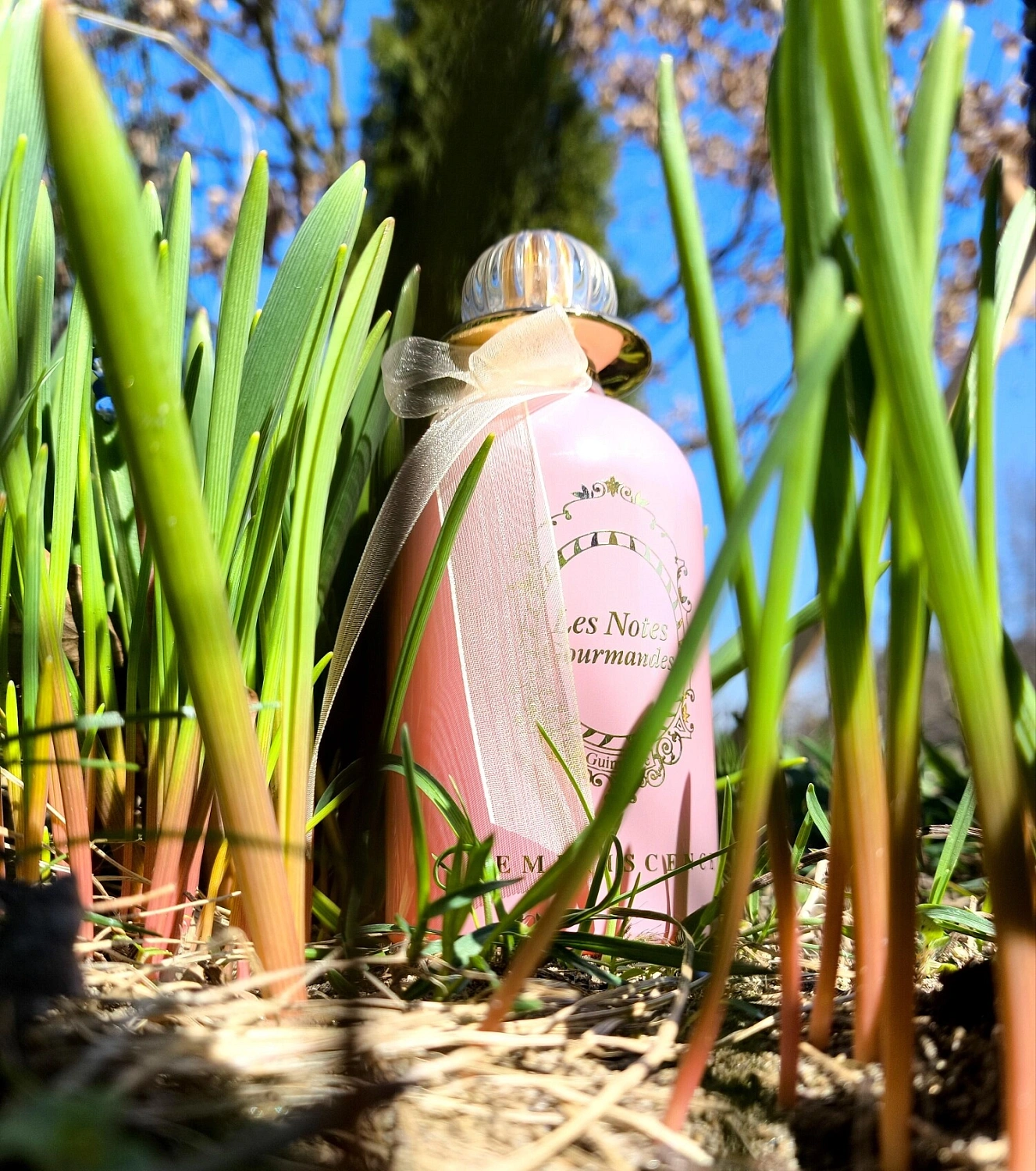 Reminiscence Les Notes Gourmandes Guimauve