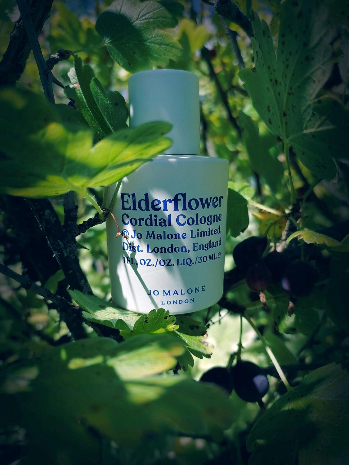Jo Malone Elderflower Cordial Cologne Jo Malone Elderflower Cordial Cologne