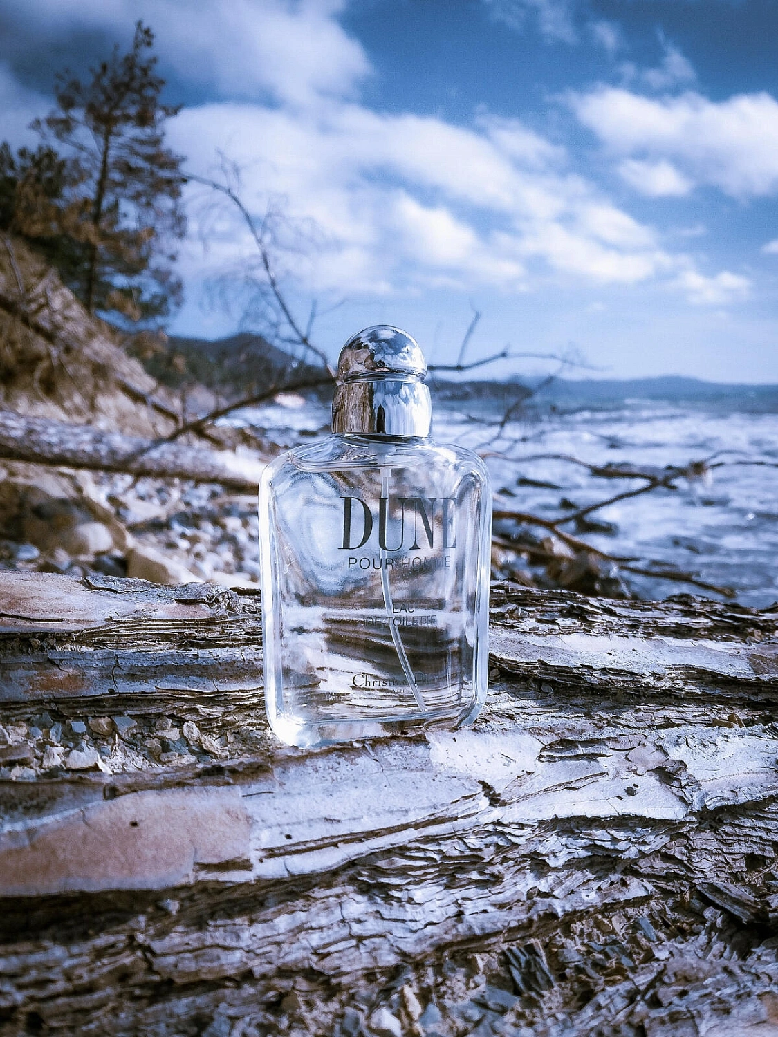 Christian Dior Dune For Men