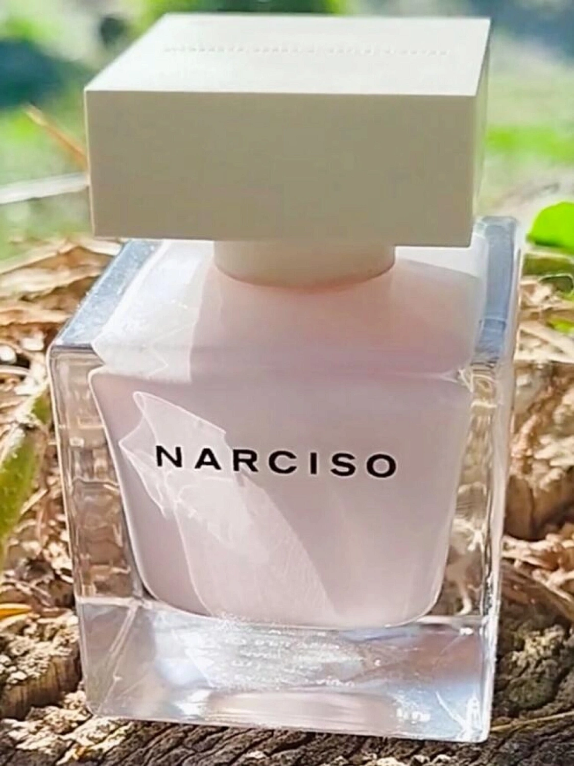 Narciso Rodriguez Narciso