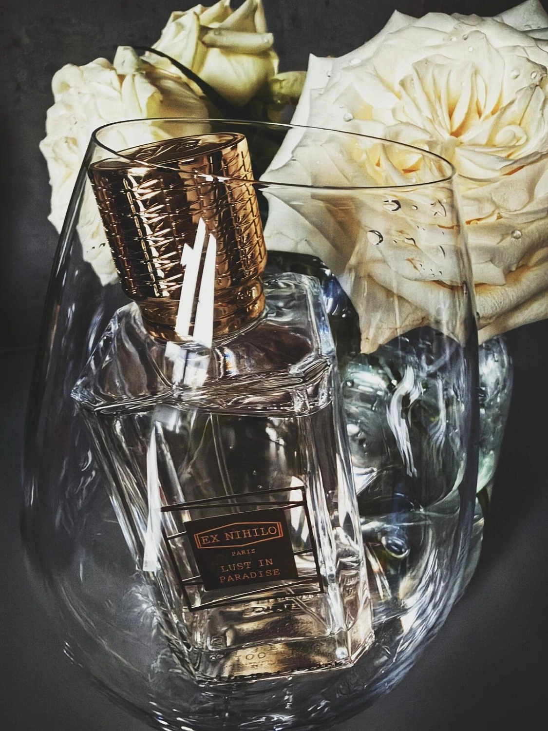 Ex Nihilo Lust in Paradise