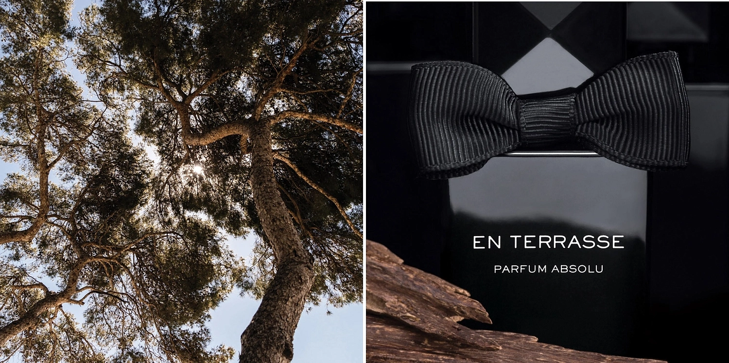 Alex Simone En Terrasse Parfum Absolu