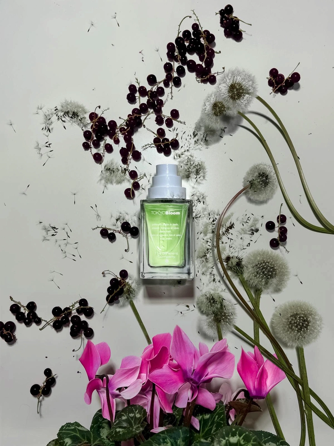 The Different Company Tokyo Bloom