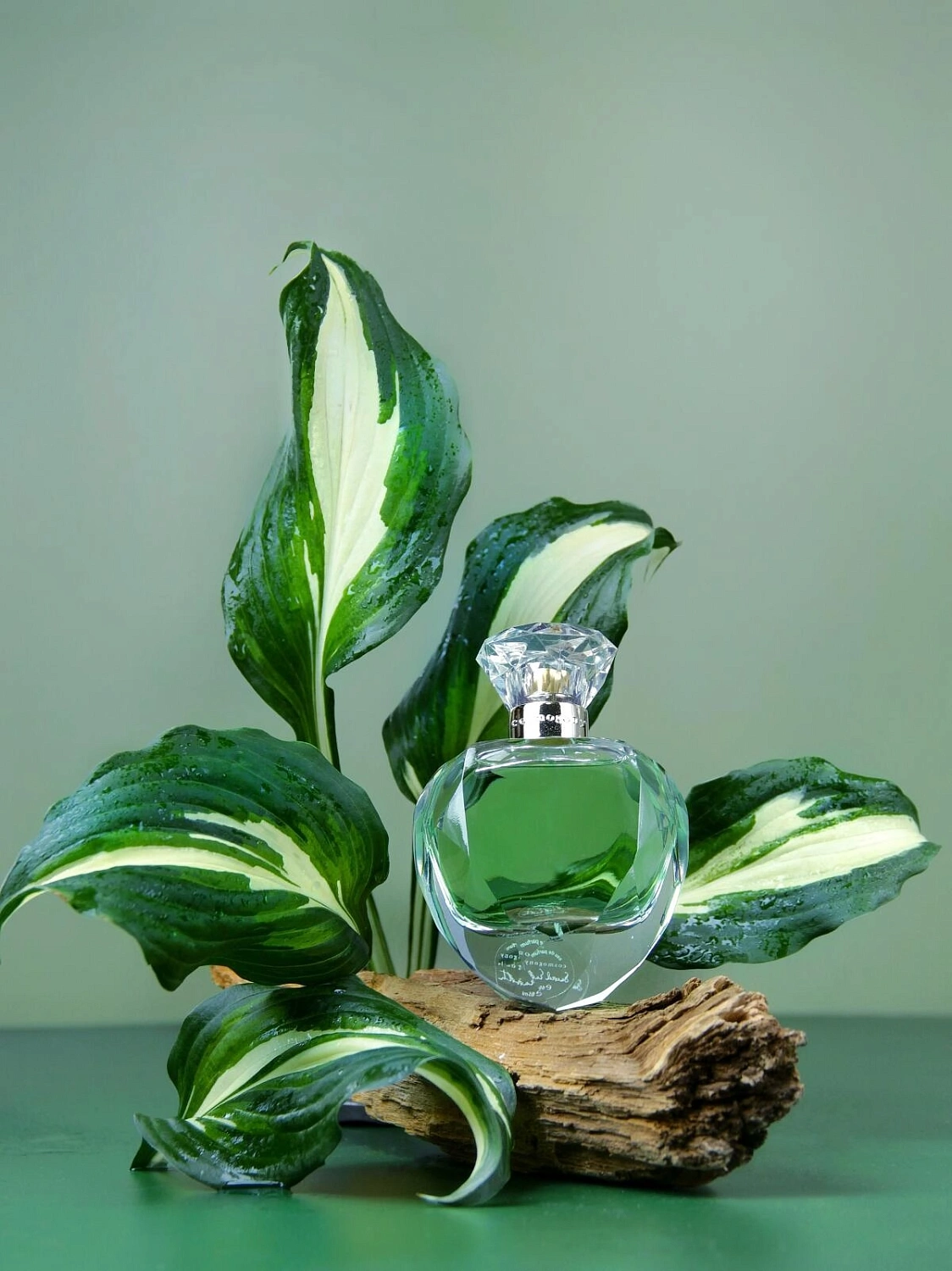 Cosmogony Sacred Earth