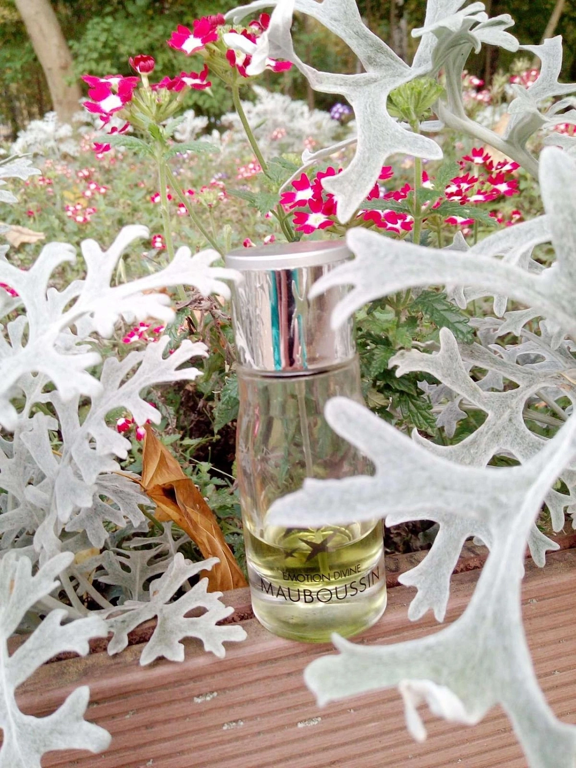 Mauboussin Emotion Divine